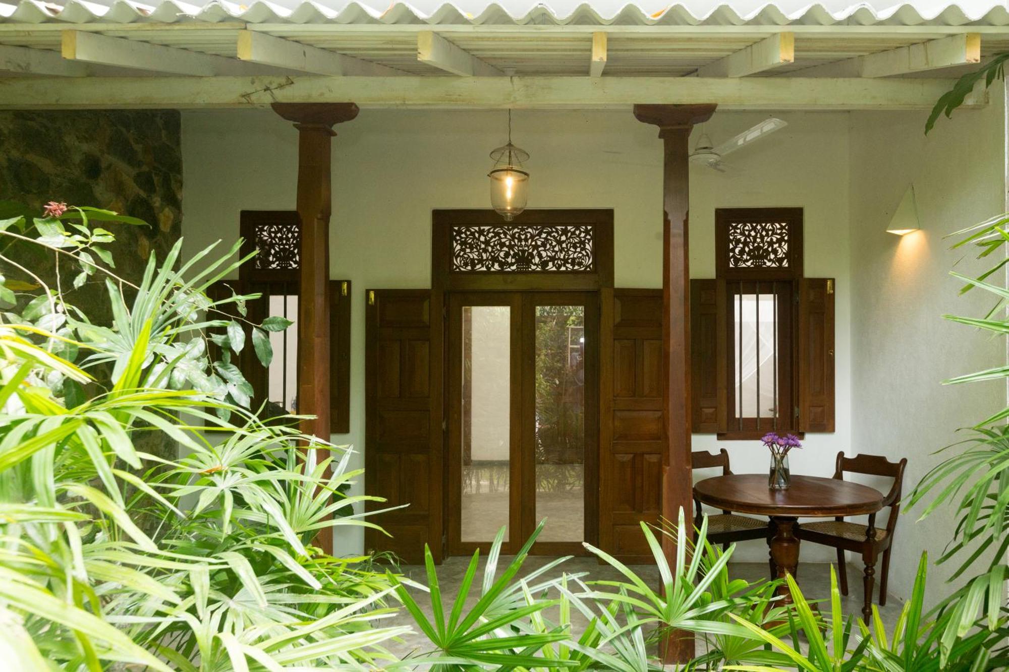Ceylon Olive كالي المظهر الخارجي الصورة